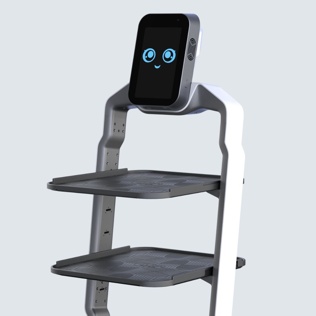 Doručovací robot LuckiBot